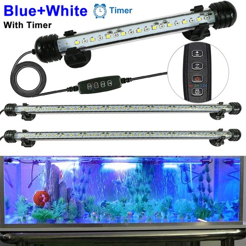 Aquarium fish tank pond - aquarium,