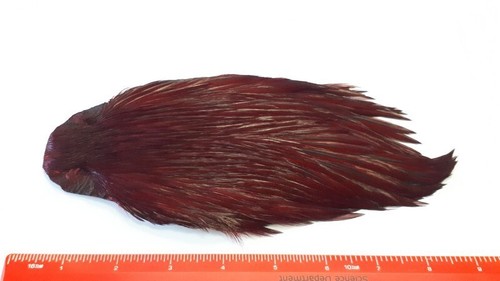 Dyed claret indian cock - claret,