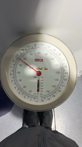 Seca mechanical analogue dial - seca,