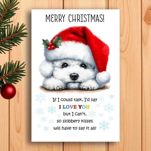Bichon frise christmas card - frise,