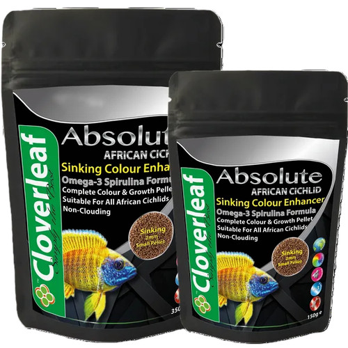 Cloverleaf african cichlid - cloverleaf,