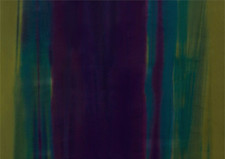 HARLEQUIN CURTAIN FABRIC Amazilia Velvet 2 MTRS GOOSEBERRY/EMERALD/lOGANBERRY