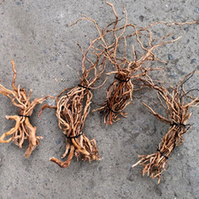 Natural Driftwood Root for DIY