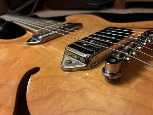 Epiphone 1996 casino - epiphone,