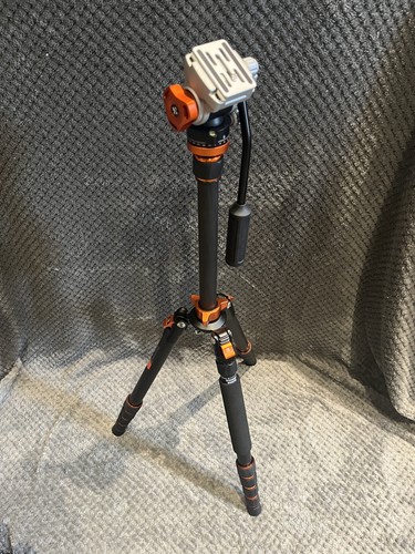 Concept carbon fiber - k&f, 68"