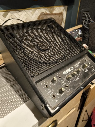 Wedge stage monitor amp - stage,