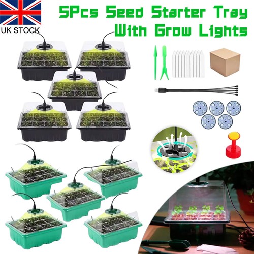 Hole seed starter - seed,