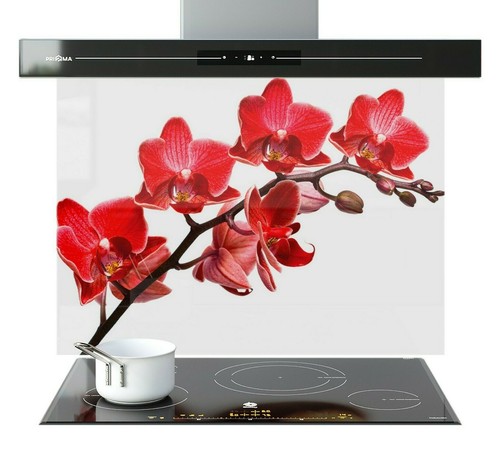 Kitchen glass splashback - glass,
