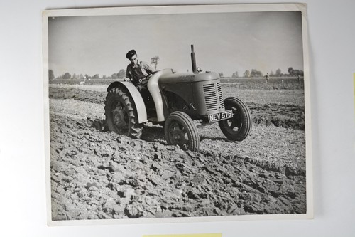 Dawson david brown tractor - brown,