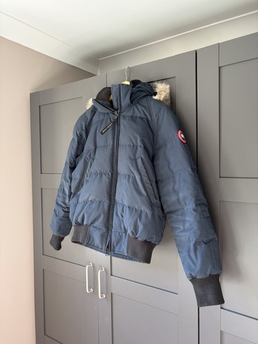 Canada goose chilliwack - goose,