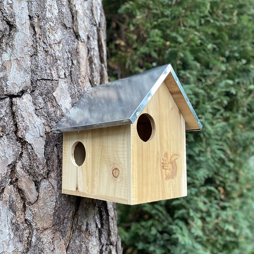 Wooden squirrel nest - wooden,