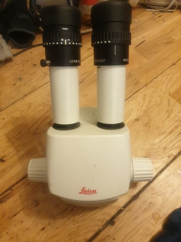 Leica mz6 microscope - leica,