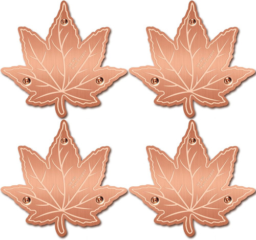 Pack bird bath copper - 4-pack,