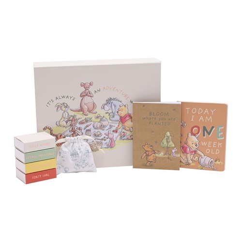 Disney the winnie pooh - winnie,