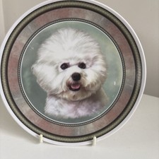 Shannonbridge Bichon Frise Dog Irish pottery Dog Collection Plate  20cm