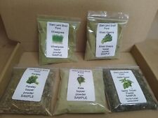 Land Snail / Hermit Crab Food