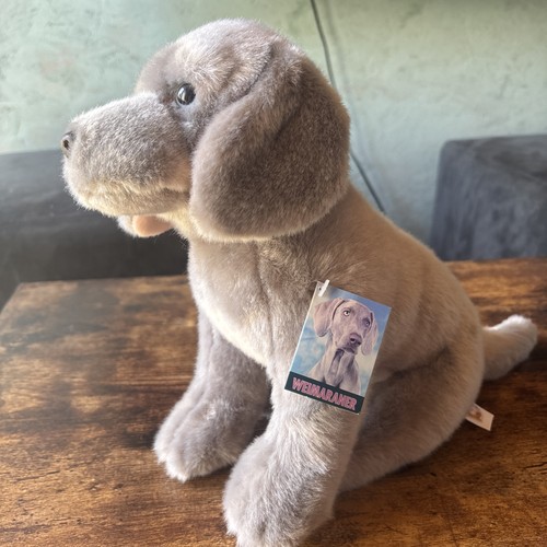 Weimaraner dog fine arts - weimaraner,