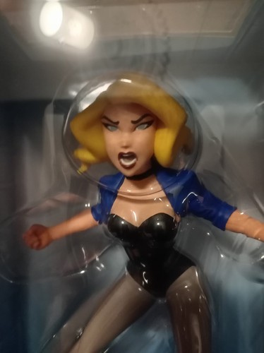 Comics black canary - black,