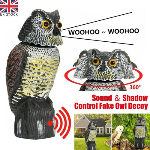 Large realistic owl - realistic, decoy