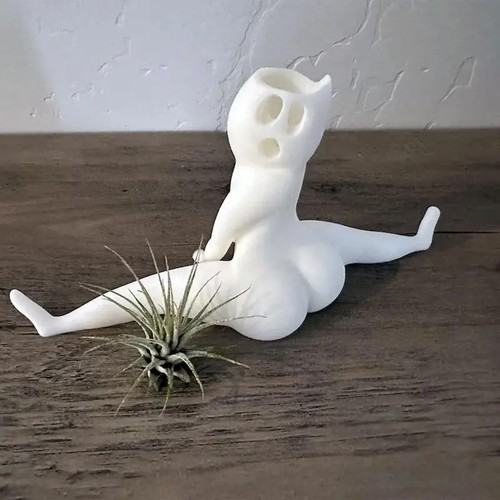 Funny ghost succulent - funny,