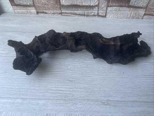 Bogwood driftwood fish - bogwood, tank
