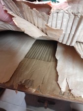 Lotus Elan M100 Right And Left Side Glass.