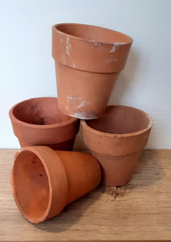 Vintage terracotta plant - 4, x