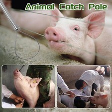 Pig Holder Catcher Stainless