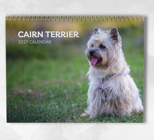 Cairn terrier calendar 2027 - cairn,