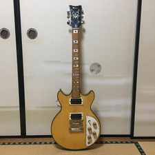 Musica Electric Guitar Ibanez