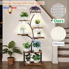 S-Shaped Lighted Corner Plant