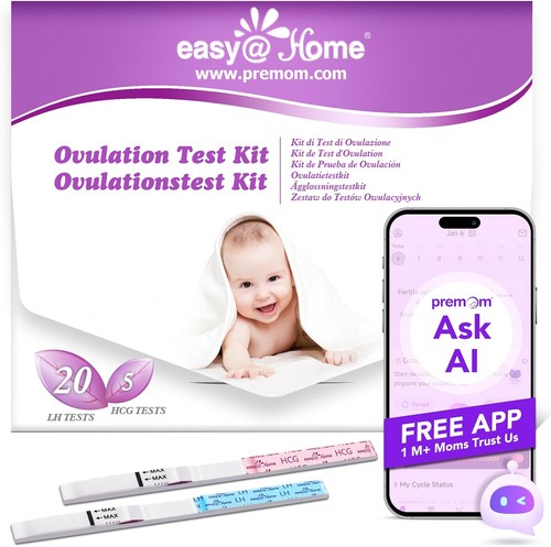Ovulation fertility test - ovulation,