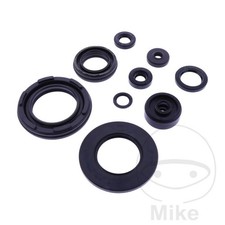 Tourmax Engine Oil Seal Kit 1