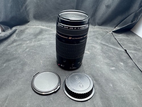 Canon ultrasonic 300mm - canon, ef