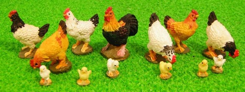 Assorted chickens 12th - 13,