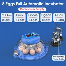Small Household Fully Automatic Smart Bird Egg Incubator for Rutin Chicks