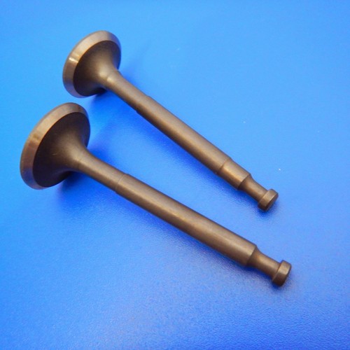 Exhaust inlet valve set - exhaust, fits