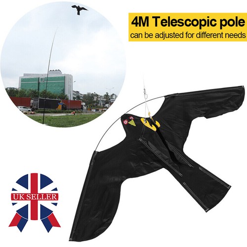 Flying hawk kite garden - flying,