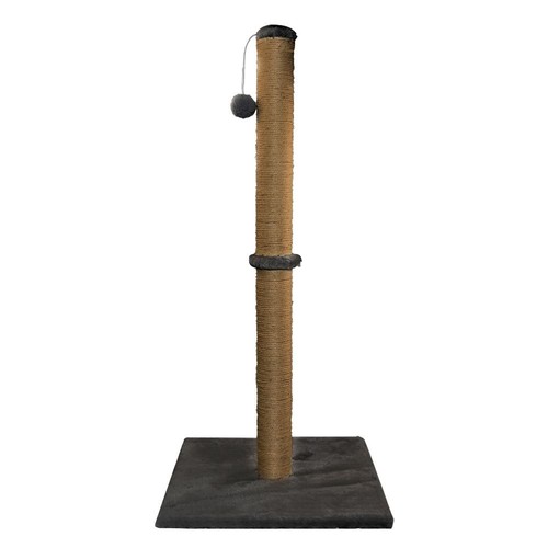 74cm tall large - tall, scratching