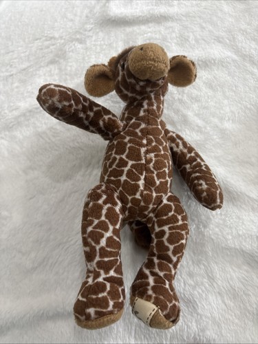 Giraffe safari sam anna - safari,