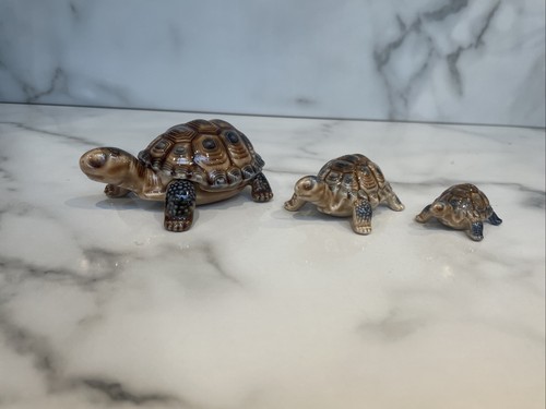 Wade tortoise trinket - tortoise, box