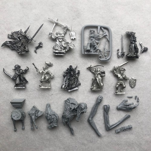 Vampire counts sartosan - vampire,