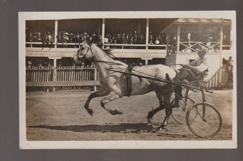 Rppc c1910 harness racing - c1910,