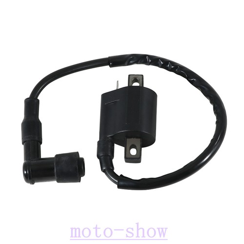 Ignition coil for - ignition,