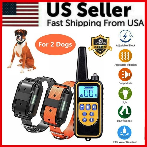 2800 remote dog - 2800,