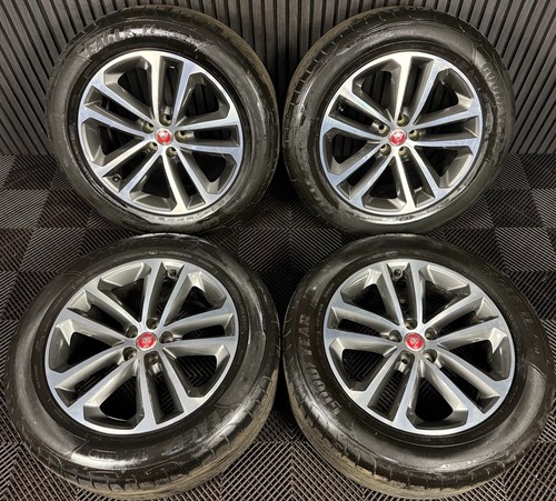 Genuine jaguar f - 19'',