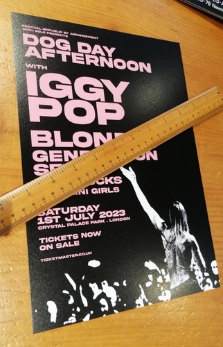 Iggy pop size wall art - ,