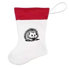 'African Pygmy Hedgehog'