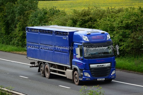 Truck photo 12x8 daf - truck,
