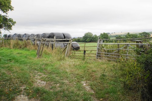 Photo silage bales near - bales,